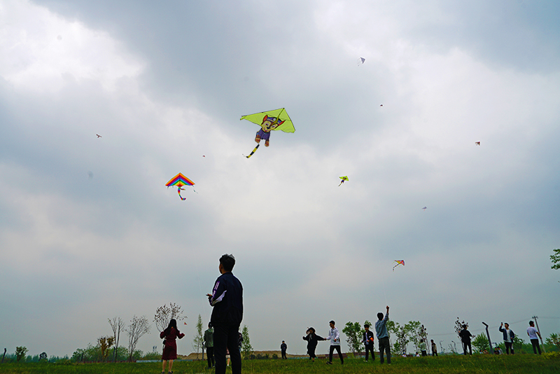 公司举行首届校园风筝节